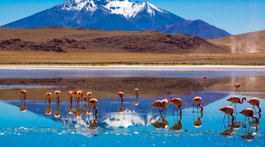 Die Top-Mietwagenauswahl in Uyuni